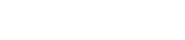 LOGO dv303